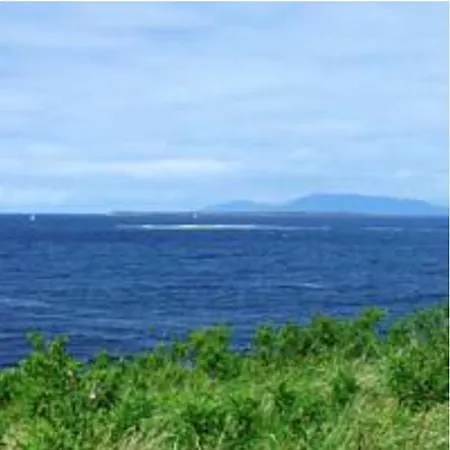 Pebble * Ballinphull